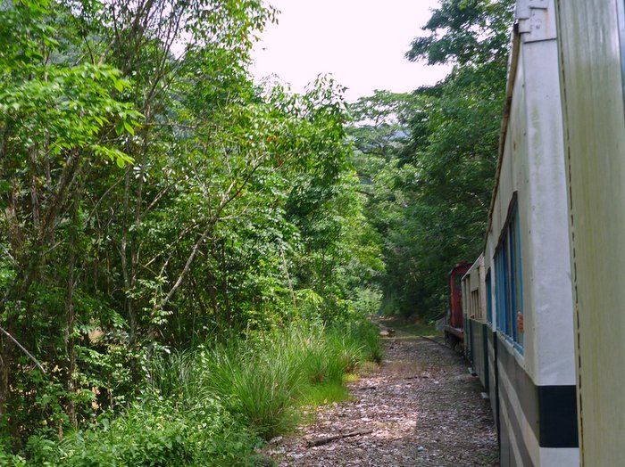 Train going through rainforests and villages